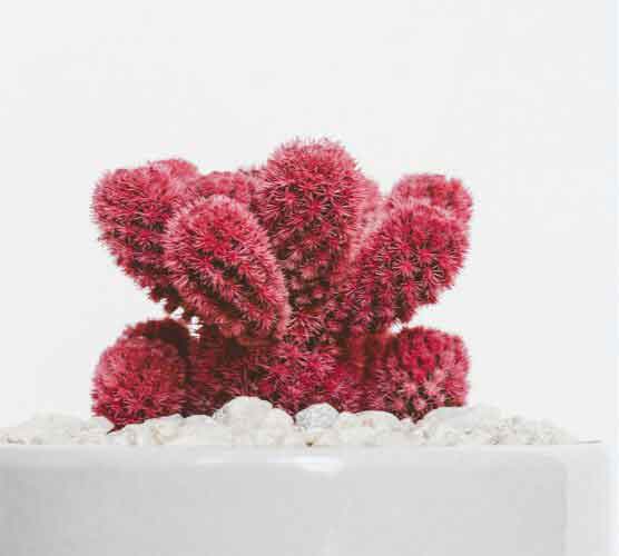 网页DDOS攻击平台