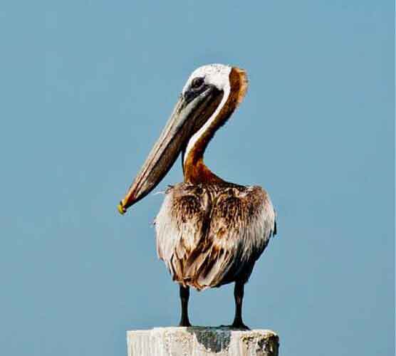 ddos压力在线测试平台